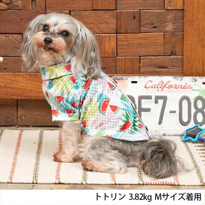 アロハ柄背開きシャツ XL/XXL D's Chat-ディーズチャット- 犬服 ドッグ