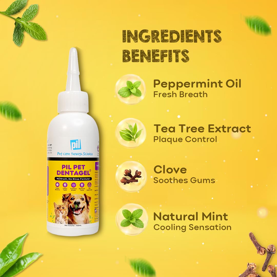 pil Pet Denta Gel Toothpaste for Dog & Cat with Mint, Green Tea Extract & Clove Oil |Fights Gum Diseases, Removes Plaque & Controls Bad Breath| Squeeze Only- No Brushing, No Rinsing (100Gm). 1