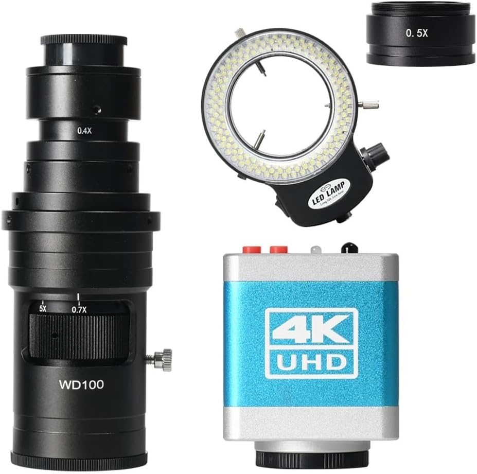 柳沢淑郎、【梟の居る部屋】、希少な額装用画集より、新品額装付