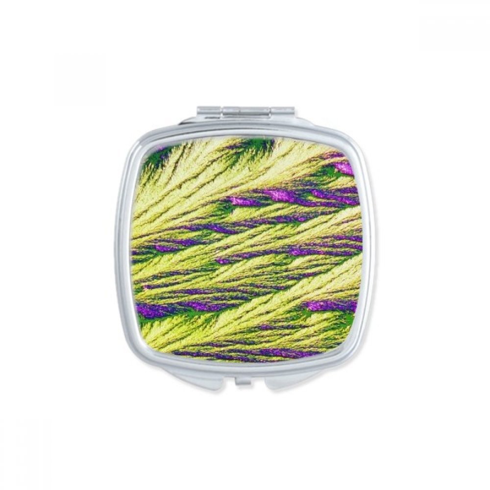 Miroir de poche carré roseaux compact pour retouches maquillage faciles au quotidien