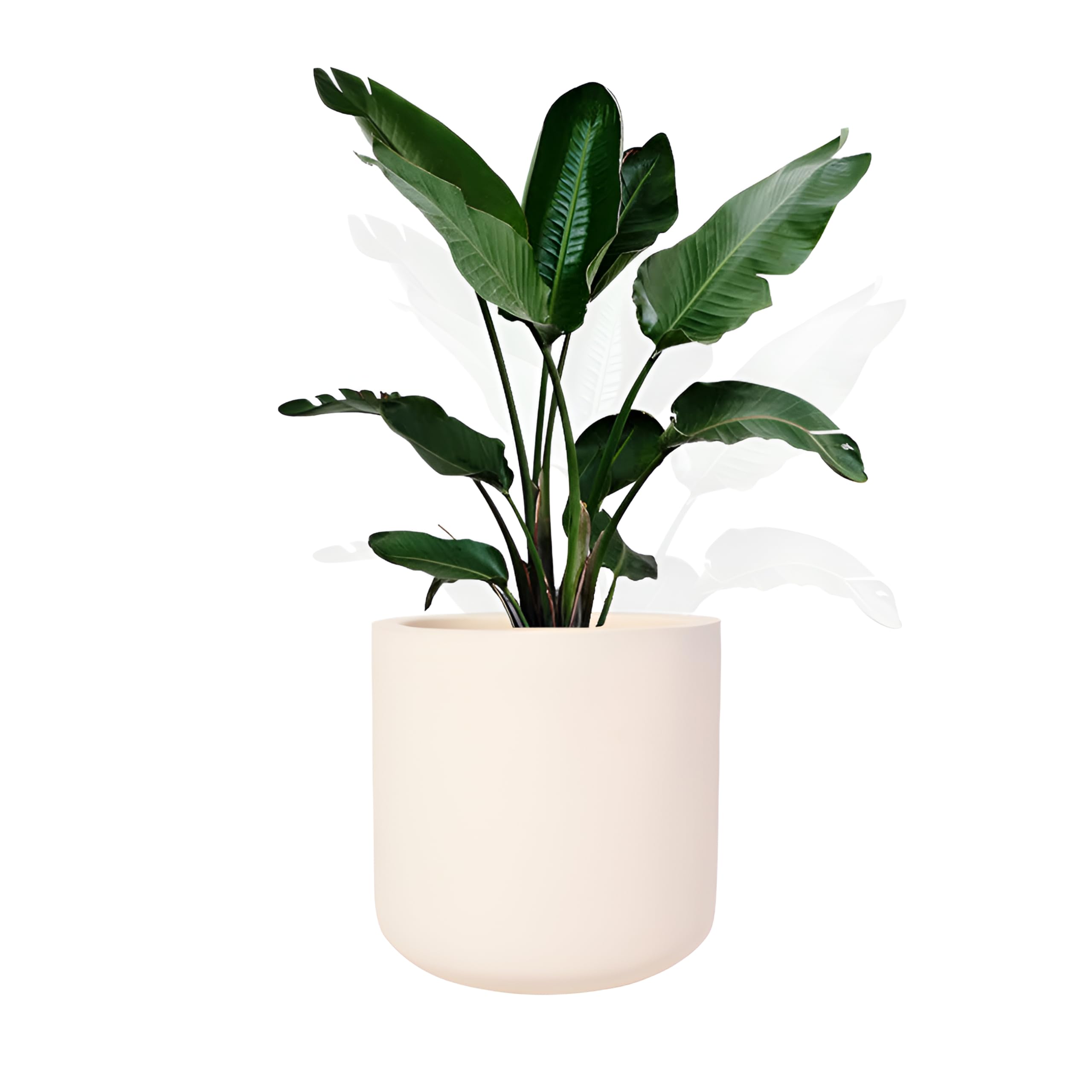 CRAFTMOSE Fiberglass 8 Inch White Round Planter for - Indoor Outdoor Plant Pot for Flowers, Vegetables, and Herbs Gamla (B0CK51443W) Amazon Price History, Amazon Price Tracker