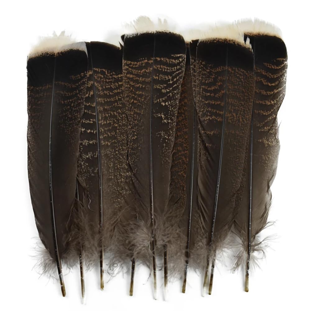 Natural Pheasant Feathers, Natural Pheasant Eagle Turkey Craft Feathers Pack of 10 25-30 cm for Crafts and Wedding