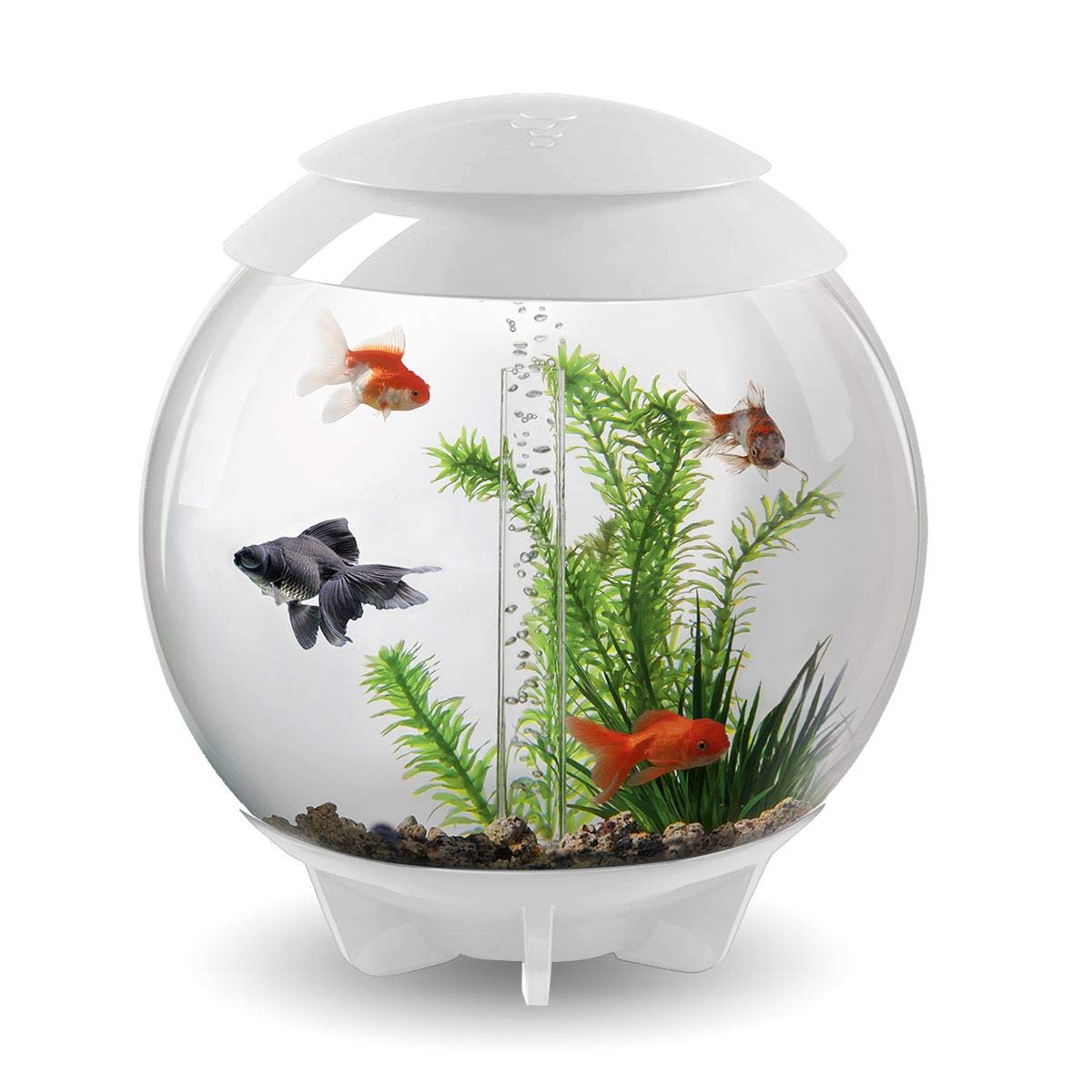 biOrb Halo 30 l Aquarium in Weiß mit MCR LED Beleuchtung