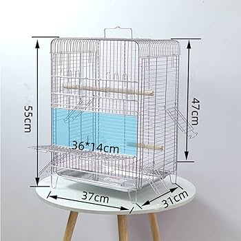 ステンレスケージ　鳥かご Amazon.co.jp: 鳥籠 大型 鳥かご・ケージ バード用品 ステンレス