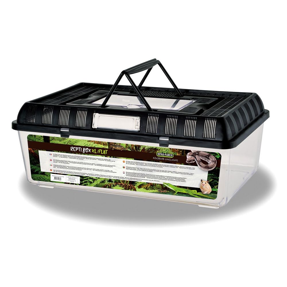 Reptiles Planet Repti Box XL Boite de Transport 42 x 26 x 16 cm