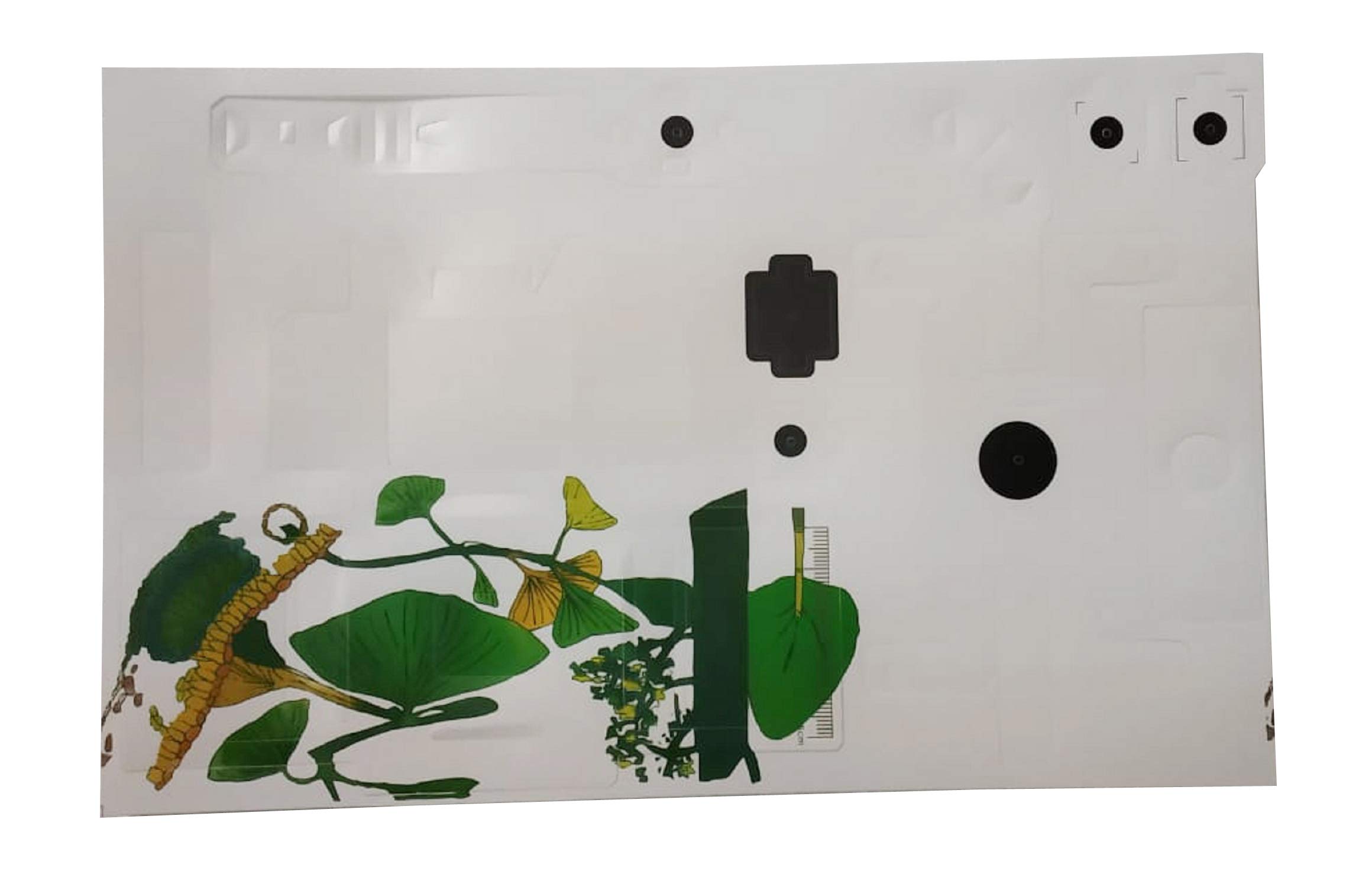 DIY Student Foldscope Microscope Paper Scope by mLabs-image-34