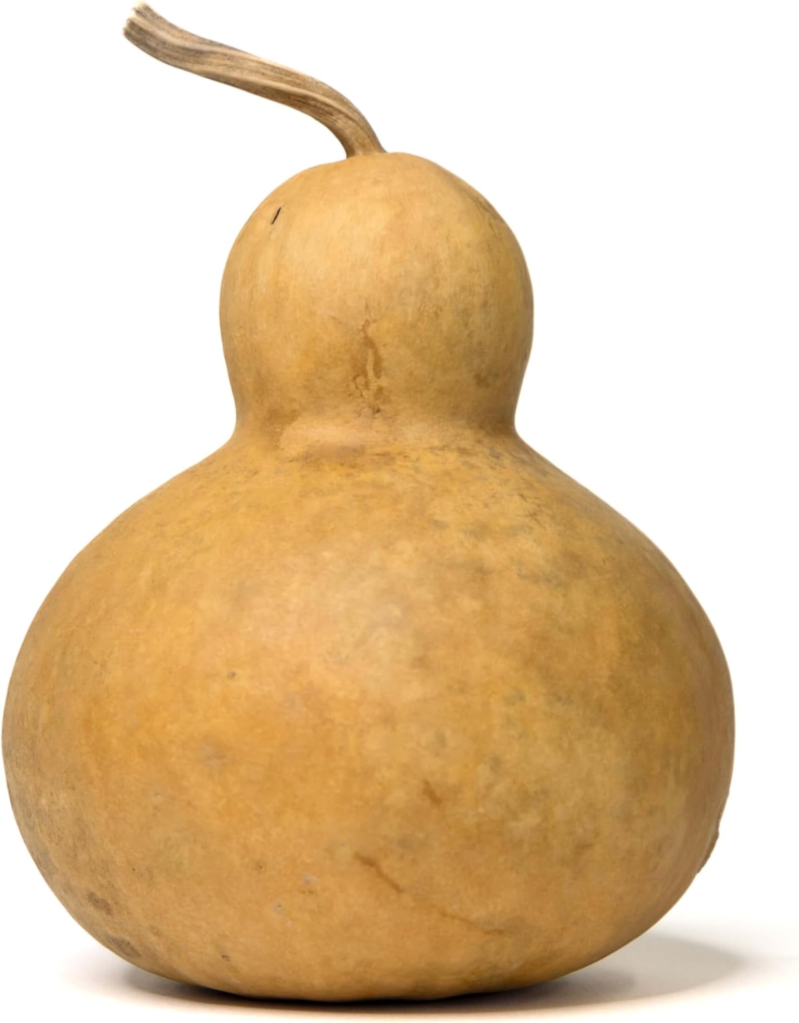 Dried Hard Shell Bottle Gourd - 6" Diameter, Ready for Crafting and Decorating