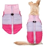 Idepet Pet Dog Cat Coat with Leash Anchor Color Patchwork Padded Puppy Vest Jacket Teddy Chihuahua Costumes Pug Cloth XS S M L (X-Small (Pack of 1), Rose Red)