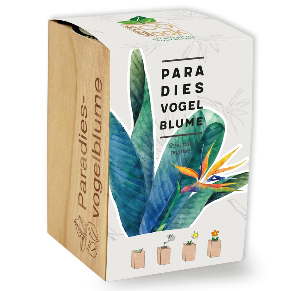 Feel Green ecoblock Rajski ptak kwiat, zrównoważony pomysł na prezent (100% przyjazny dla środowiska), Grow Your Own/zestaw do uprawy, rośliny w bloku drewnianym, wyprodukowano w Austrii