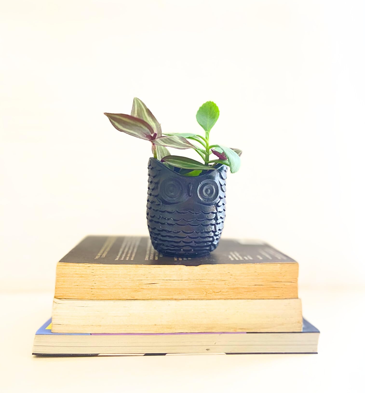 See full amazon price history chart for EBN Handcrafted Concrete Décor | Tawny Owl Concrete Succulent Planter/Desk Organizer/PenToothbrush Holder | For Home, Office, Bathroom, & Room Décor | Plant Pot, Planter, Stylish/Unique Organizer EBN Handcrafted Concrete Décor | Tawny Owl Concrete Succulent Planter/Desk Organizer/PenToothbrush Holder | For Home, Office, Bathroom, & Room Décor | Plant Pot, Planter, Stylish/Unique Organizer (B0CLVPZZJJ) Amazon Price History, Amazon Price Tracker