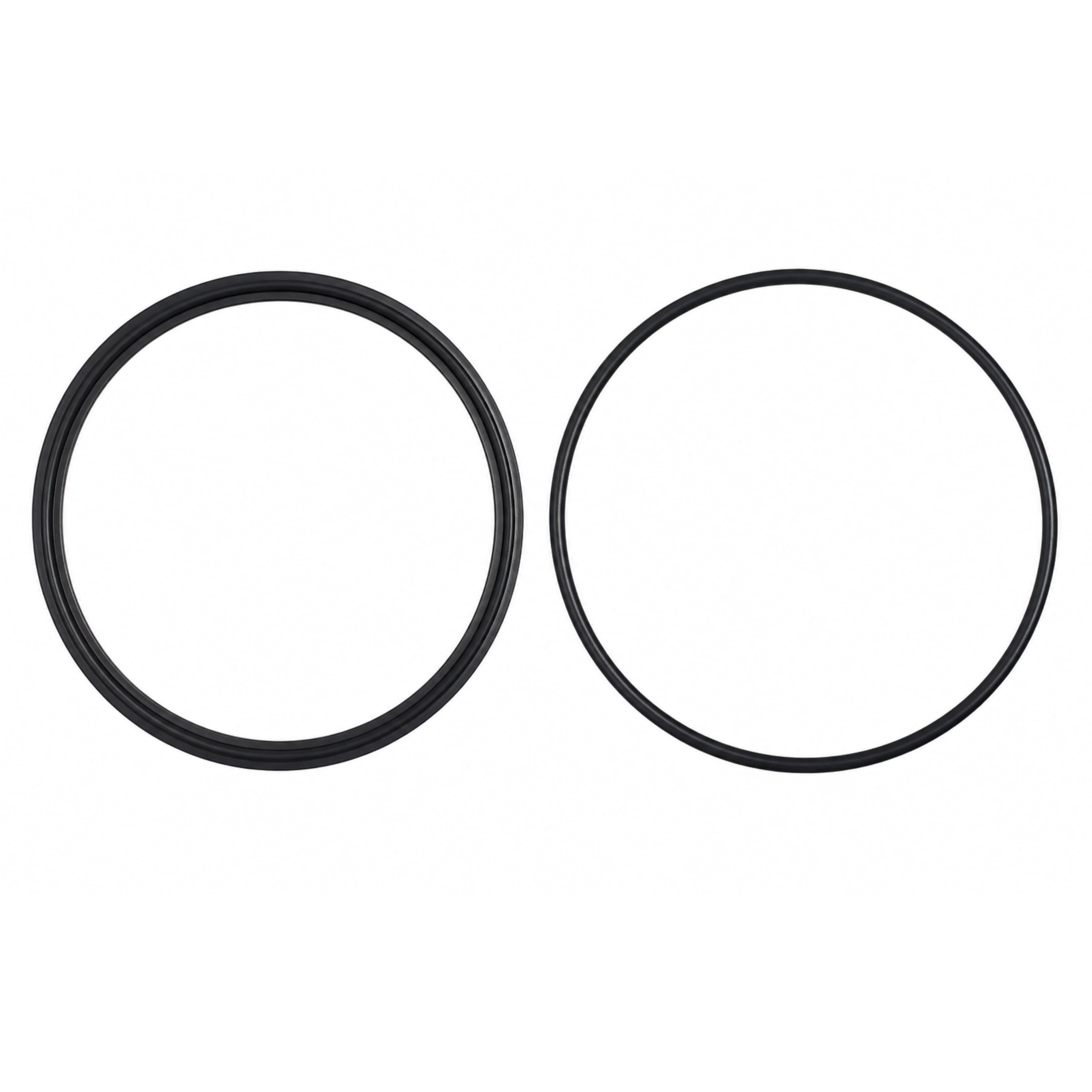APPLIAFIT Lid Seal & Lid O-Ring Compatible with Zodiac R0446200 for Zodiac Jandy JEP, SHPF, SHPM and SWF Pumps, 1-Pack (2 Pieces)-image-20