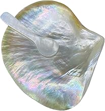 Healeved 1 Conjunto De Talheres De Concha Bandeja De Comida Bandejas De Sobremesa Bandejas Para Comida Prato De Sushi Prato De Concha Conjunto De Prato De Concha Pratos De Sobremesa