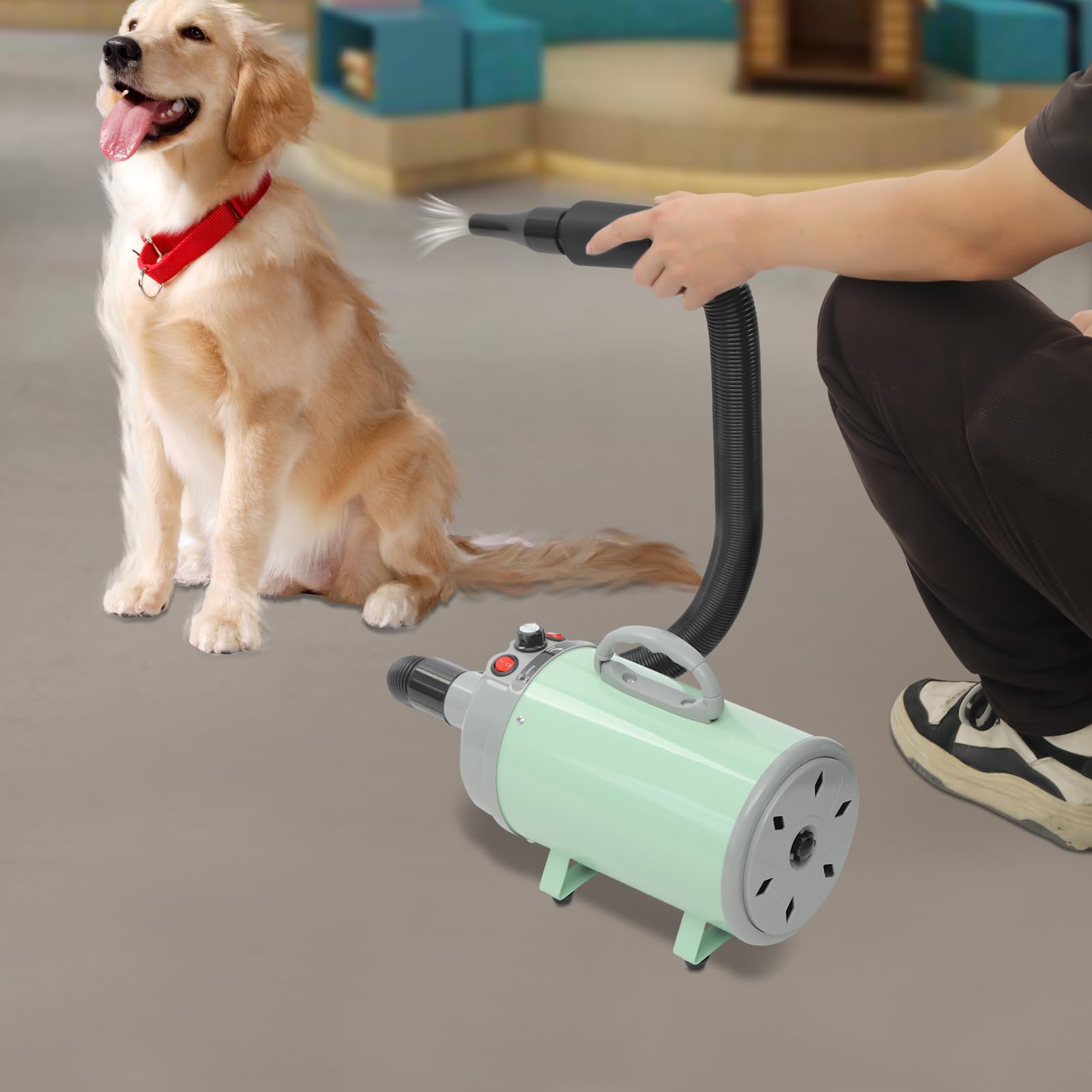 Sèche-cheveux pour chien avec 4 buses – 2200 W – Souffleur professionnel pour chiens et chats (vert)