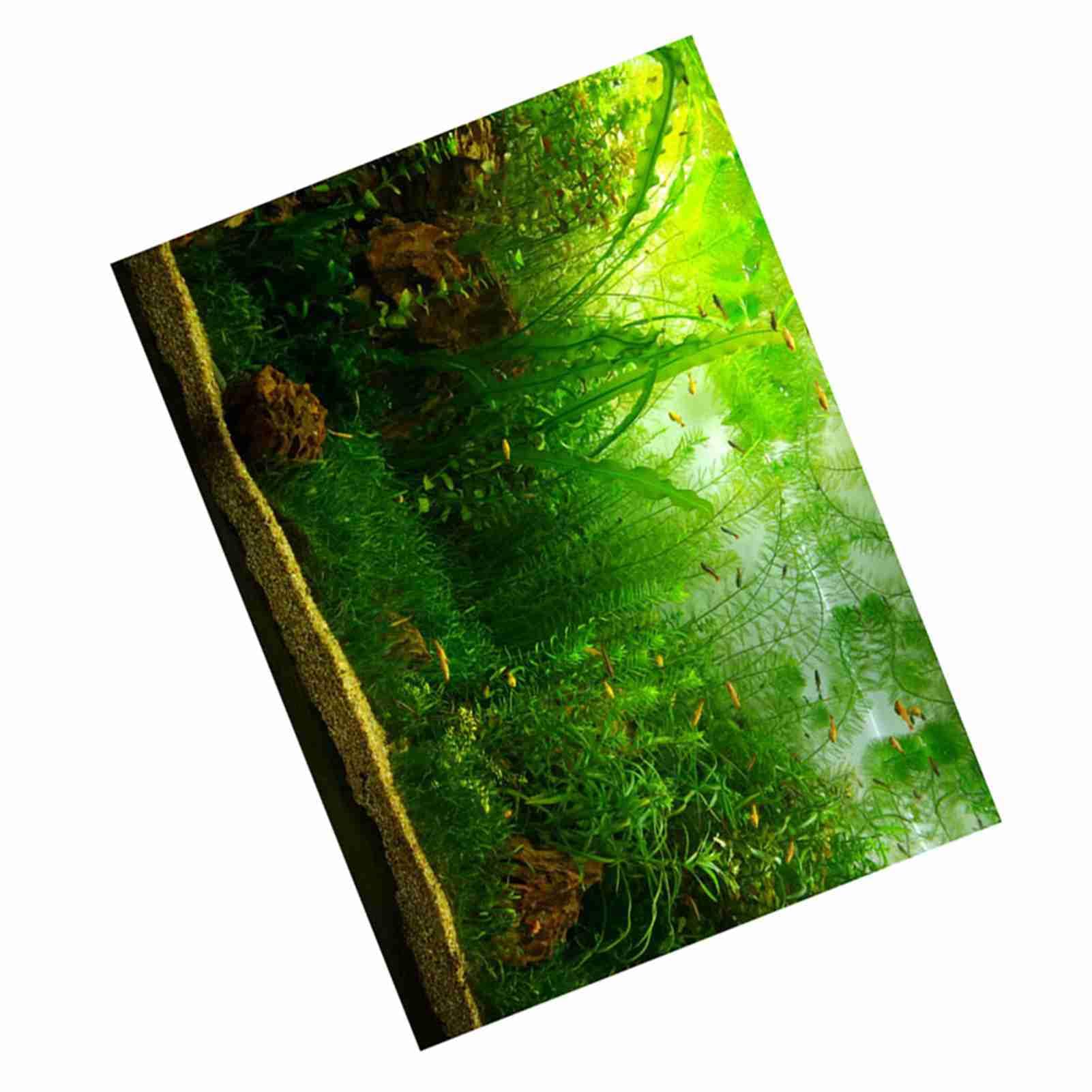 Poster di Sfondo per Acquario con Erba – Decorazione Adesiva in PVC Addensato per Pesci (ACOGEDOot9cfpg3mv-09)