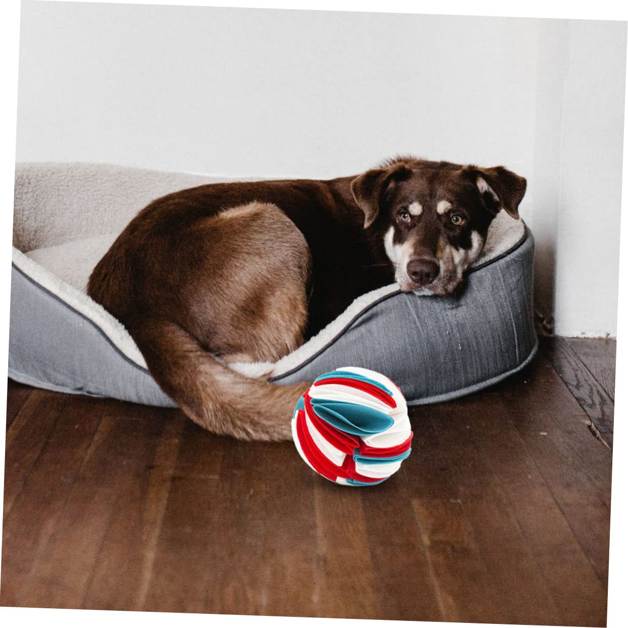 minkissy 3 Stück Kauspielzeug Für Hunde Hundespielzeug Leckerli-Spender Hundespielzeug Hunde-backenzahn-kauspielzeug Haustier-kauspielzeug Haustier-leckfutter-Spielzeug