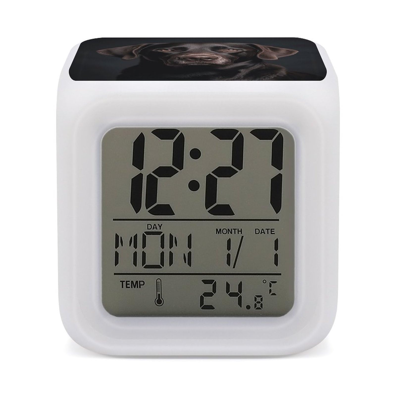 Reloj despertador para perros de laboratorio negro luz nocturna moderna y termómetro