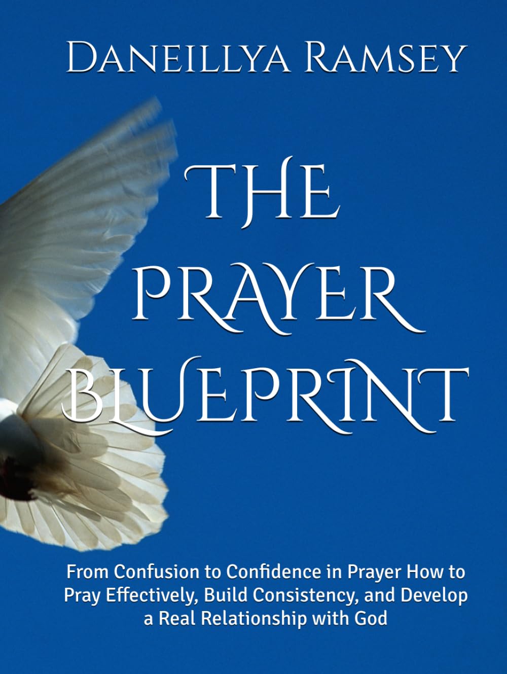 THE PRAYER BLUEPRINT: From Confusion to Confidence in Prayer How to Pray Effectively, Build Consistency, and Develop a Real Relationship with God