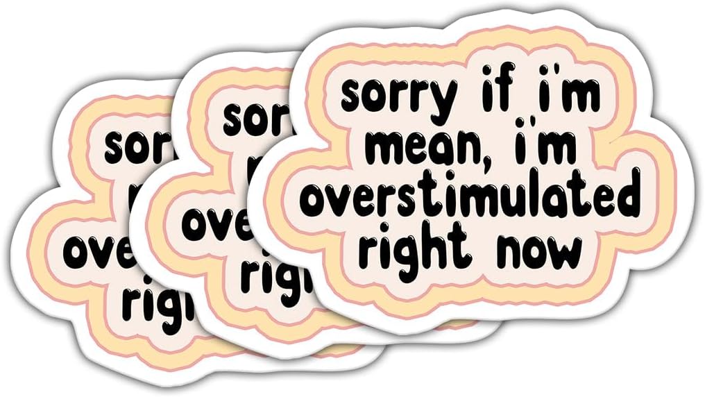 (3 Pcs) Sorry If I'm Mean 3x3 - I'm Overstimulated Right Now - Mental Health Sticker - Cute Self Care Sticker - Retro Sticker - Self Love Sticker - Health Care Sticker for Laptop - Phone image 2