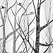 iDesign Fabric Forest Shower Curtain for Master, Guest, Kids', College Dorm Bathroom, 72