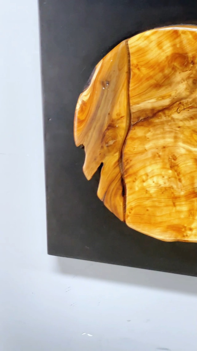 枝アート 枝アート Amazon.com: Greenage Cedar Roots Round Wall Decor 17