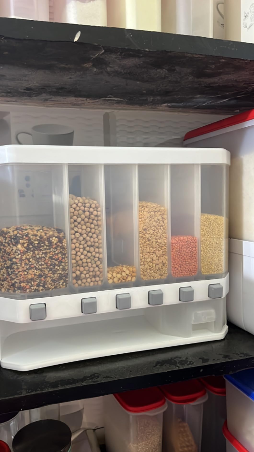 Buy GORMERY Plastic Wall Mounted Cereal Food Dispenser For Kitchen 6 ...