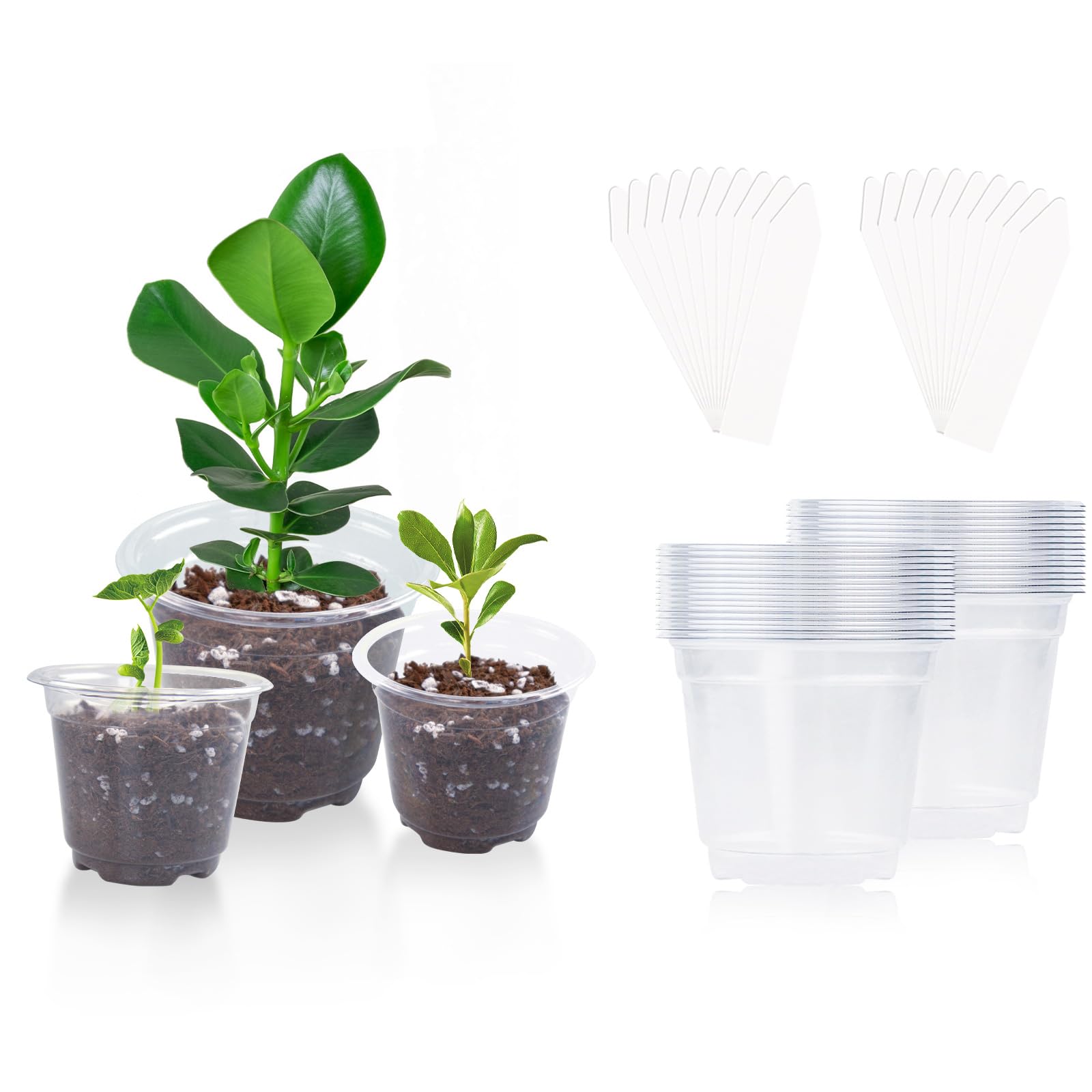 Clear Nursery Pots for Plants, 4 Inch Plastic Plant Pots with Drainage Holes, Durable Reusable Seed Starter Pots with 20 Pcs Plant Labels for Succulents Seedlings (30 Packs)
