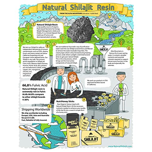 Natural Shilajit Resin (10 Grams) - Plant-Based Nutrients For Energy, Focus And Vitality; Natural Source Of Fulvic Acid & Trace Minerals, 100% Pure Organic Shilajit Resin, Trace Minerals Complex #TOP6