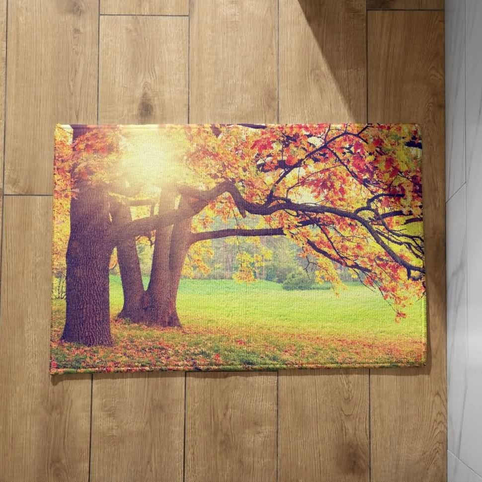 CEVAN Alfombra Antideslizante Oficina Felpudo Personalizado Paisaje Natural Alfombra para Entrada de Casa Interior Alfombrilla Antideslizante Gruesa 40x60cm