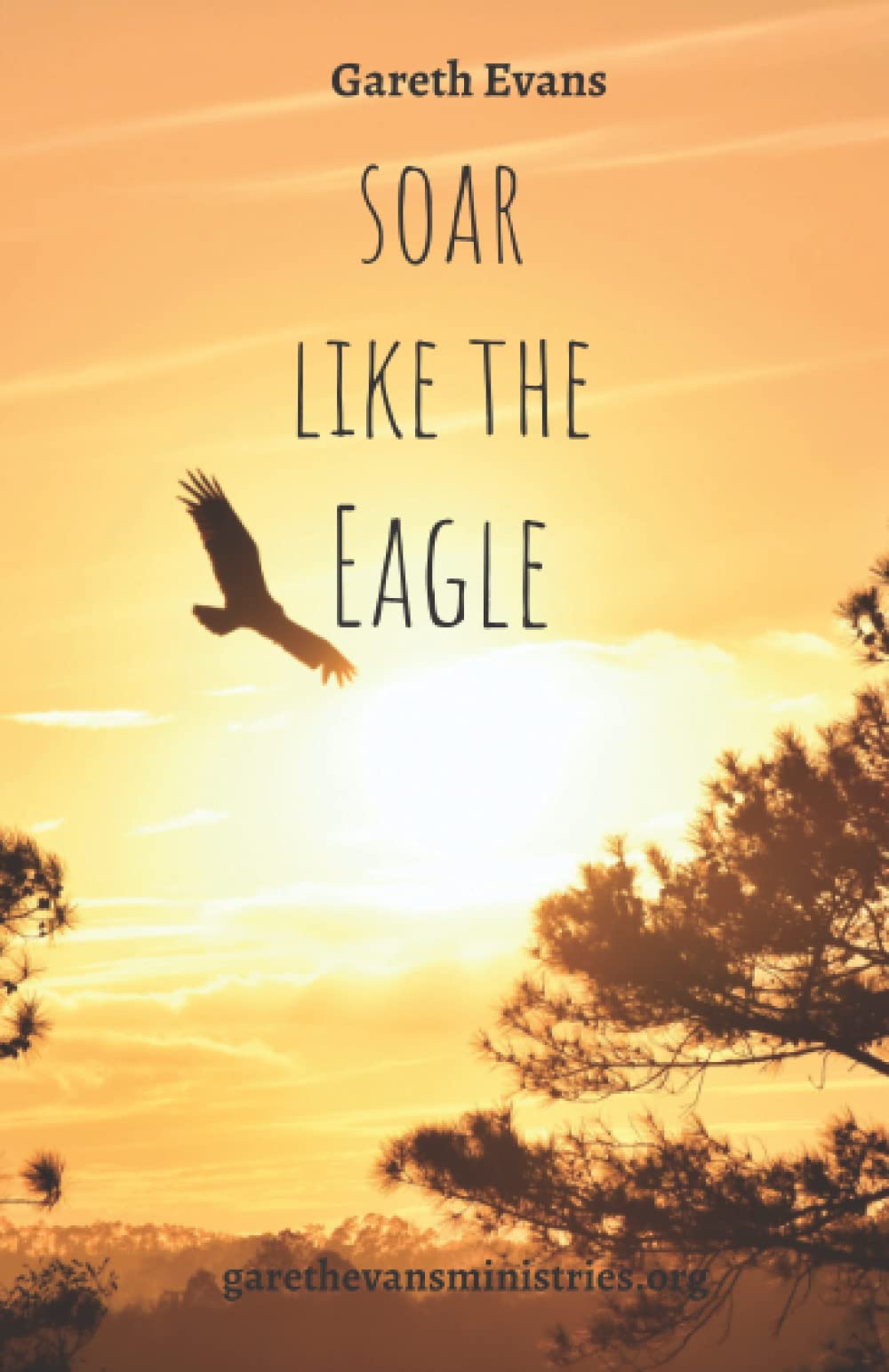 Soar Like the Eagle: Reaching your Destiny in Christ