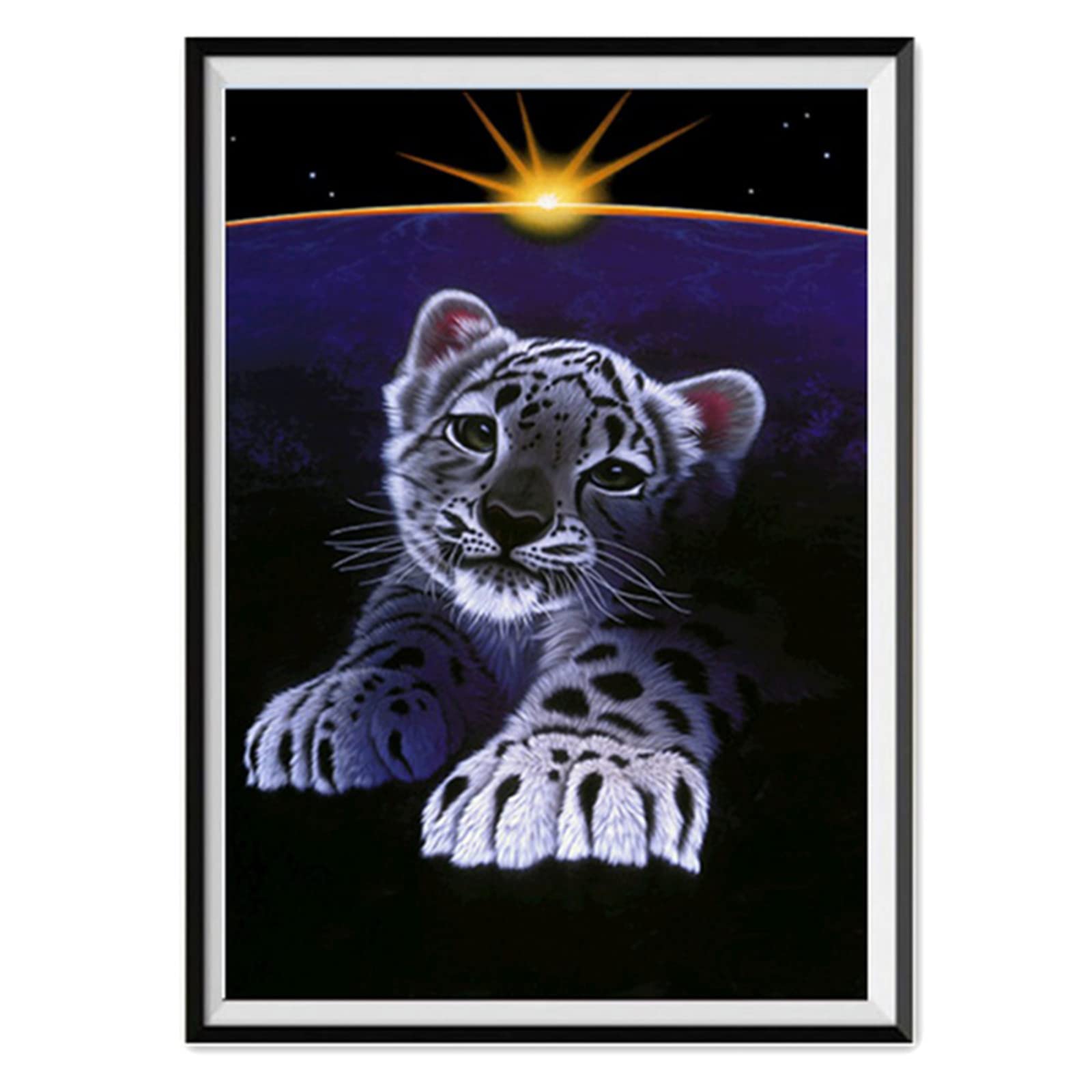 Broderie Point de Croix Painting Tigre un Cadeau Créatif Idéal pour Adultes