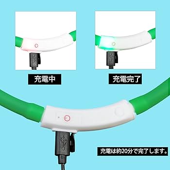 つかいふるしのいぬ iq-ptlt1.jpg