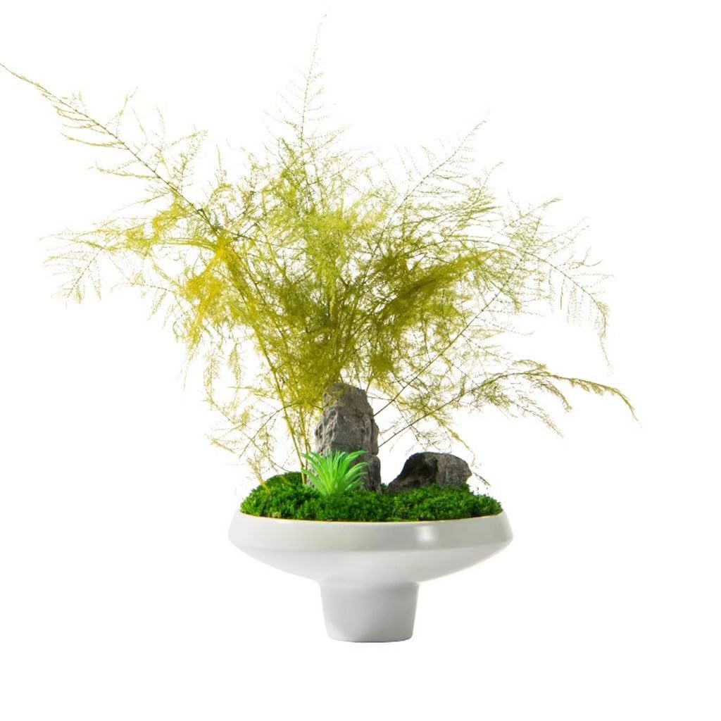Bonsaï intérieur zen fausse plante de bureau et plante verte salon