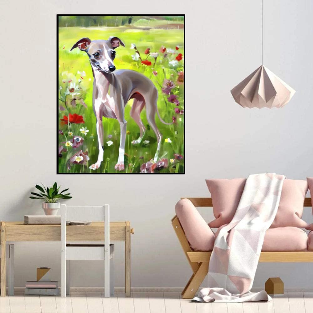 Paint by Numbers Italian Greyhound Dog DIY Acrylic Painting Kit with Brushes Pigment Oil Painting Artwork Adults Beginners Wall Decor 12x16inch(30x40cm) Frameless