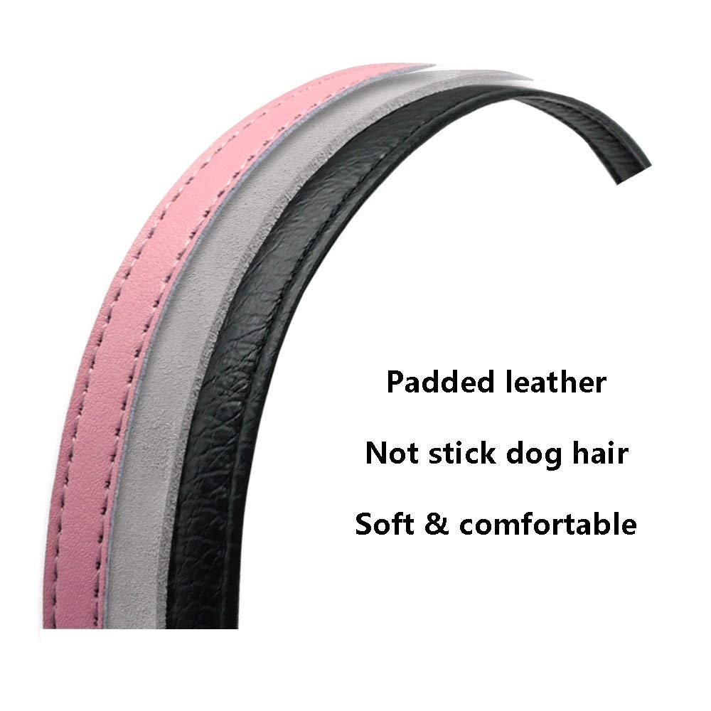 Didog Strass-Hundehalsband Mit Namensschild – Personalisierbar, Gepolstert, Für Kleine Hunde & Katzen