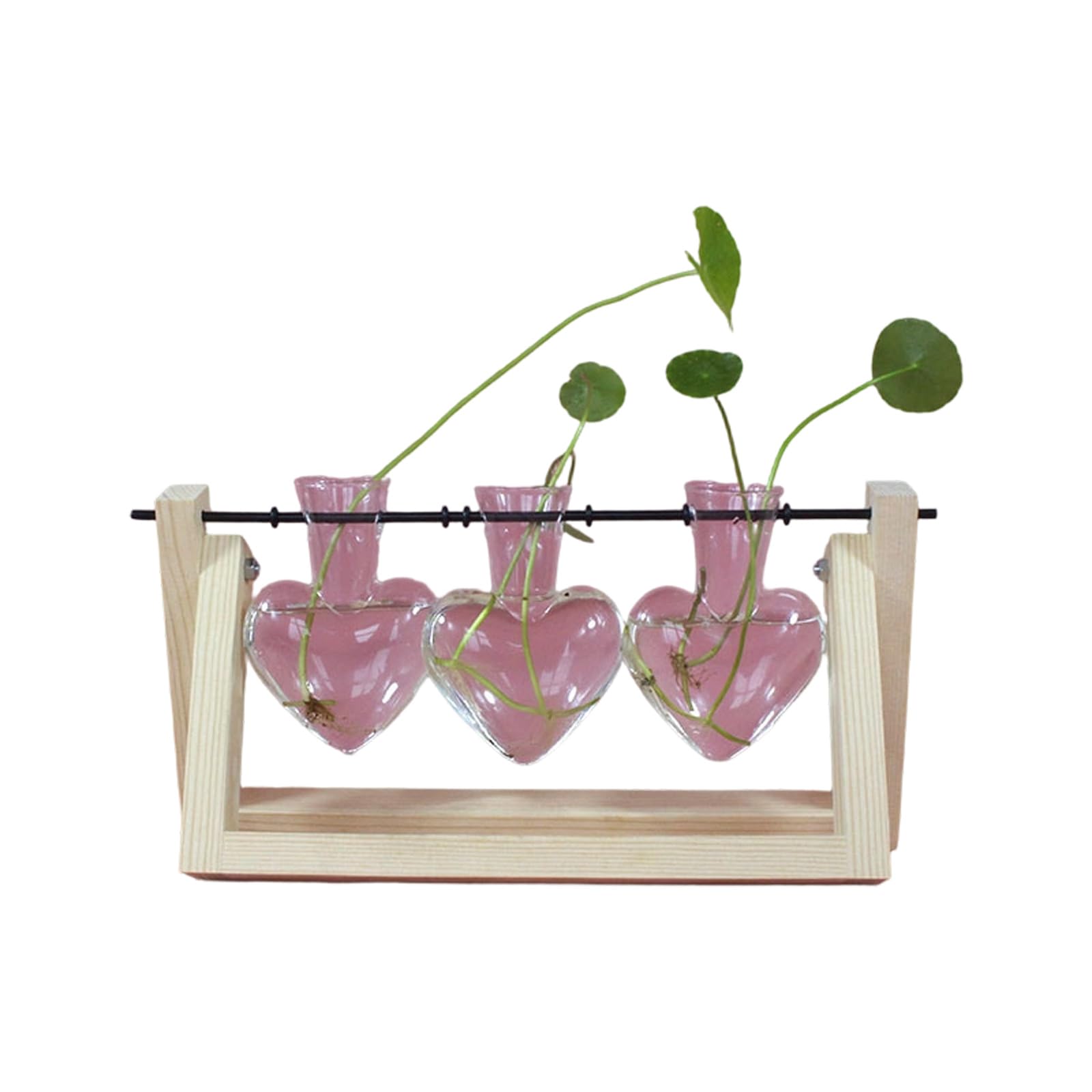 Shaped Glass Vase with Wooden Stand for Hydroponics Plant and Home Decor Hydroponic Planter Vase