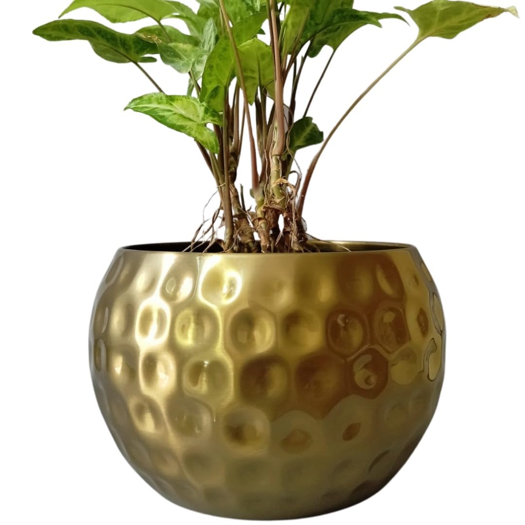 DecorBeats Unbreakable Handmade Brass Finish Bowl Planter for Indoor/Outdoor Home Décor (B09FSYGF2G) Amazon Price History, Amazon Price Tracker
