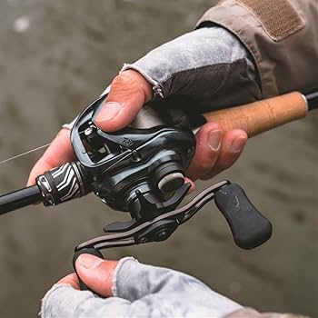 Amazon.com : Daiwa SV Baitcast Reels : Sports & Outdoors