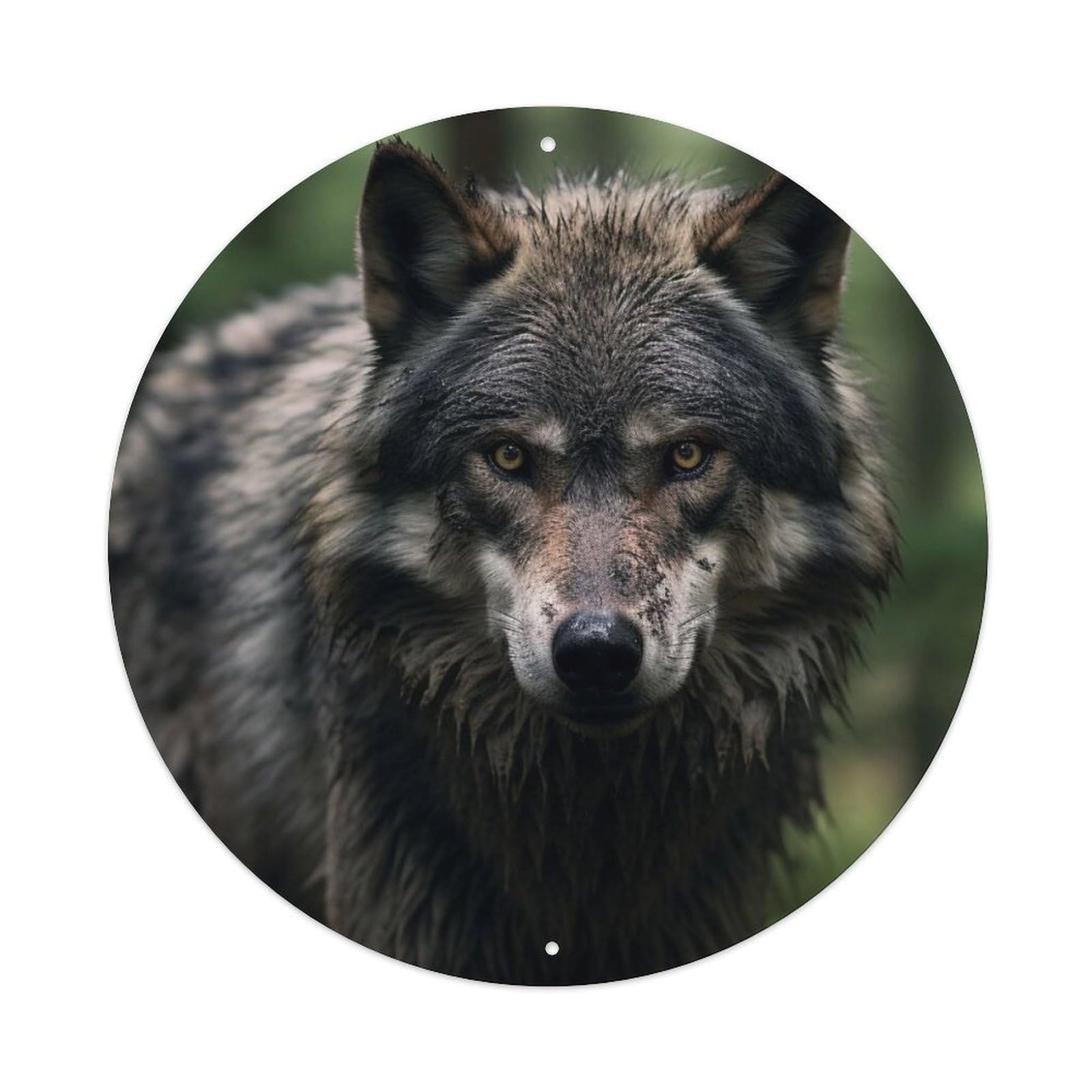 Animal Eastern Canadian Wolf Metal Tin Sign