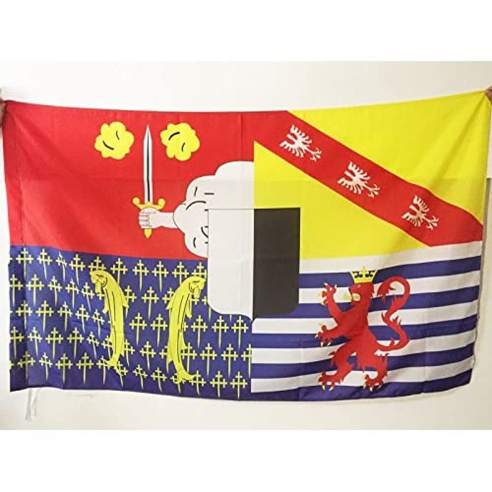 AZ FLAG, Moselle Flag, 2x3 Ft, French department Banner with Sleeve, 100% Polyester, Fade Resistant, Vivid Colors