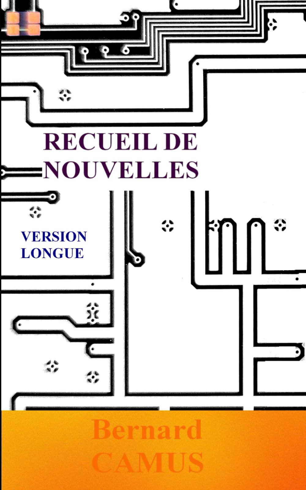 Recueil de nouvelles : Phoenix version longue
