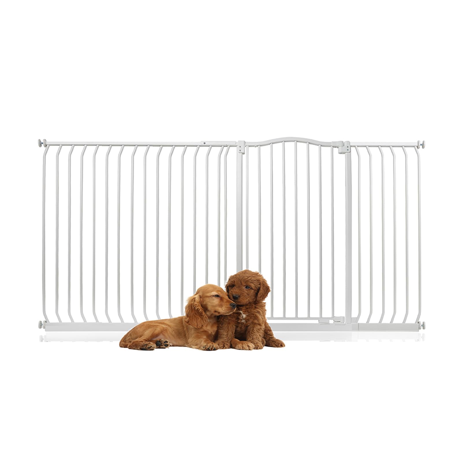 Bettacare Extra Tall Curved Top Dog Gate198Cm207CmMatt WhiteExtra Tall 100Cm In HeightPressure Fit Pet Gate from B&Q