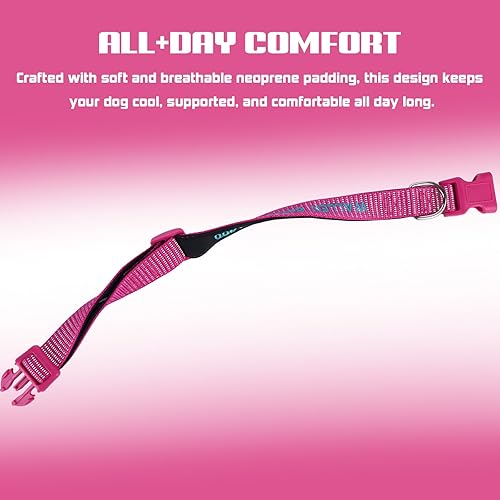 Miniatura 3 de Collares de perro personalizados para perros pequeños, medianos y grandes con nombre bordado personalizado y número de teléfono, collar ajustable