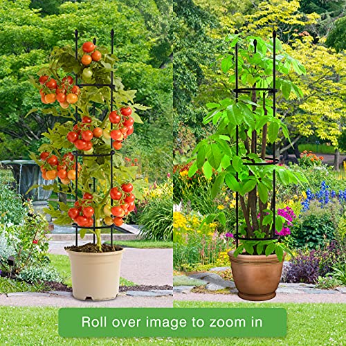 Advtim-Garden-Trellis-Tomato-Cage2-Packs-48-Garden-Trellis-for-Climbing-PlantsPlant-Cages-Supports-for-Vines-Crop-VegetableFlowersPotted-Plants