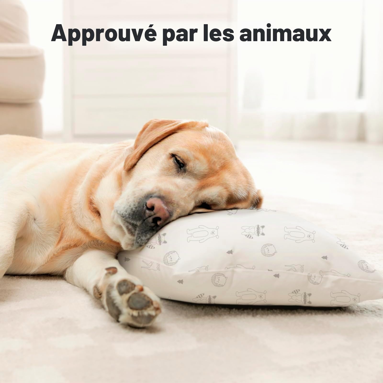 Oreiller pour tout-petit en coton bio doux lavable en machine KeaFriends