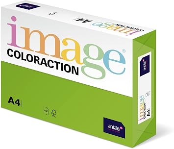 Coloraction Antalis 838A 160S 26 DIN A4 ورق تصوير 160 جم / متر مربع Java May Green