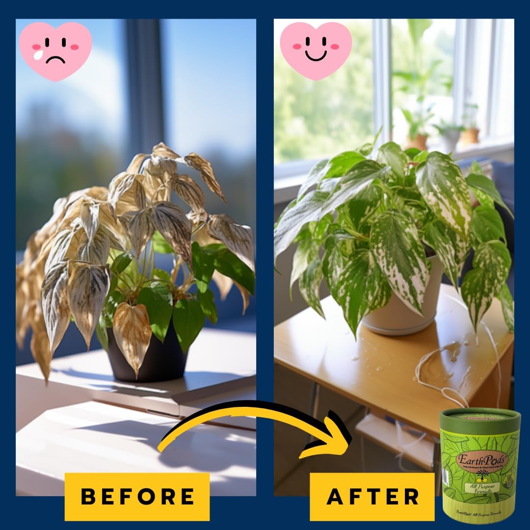 EarthPods® Organic Indoor Plant Food Capsules (100 Count) – Slow-Release Houseplant Fertilizer Spikes | Specialized Nutrients for House Plants | Made in USA