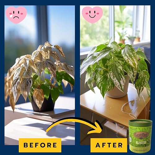 Miniatura 4 de Premium Alimento para plantas  Estacas de fertilizantes orgánicos  100 unidades