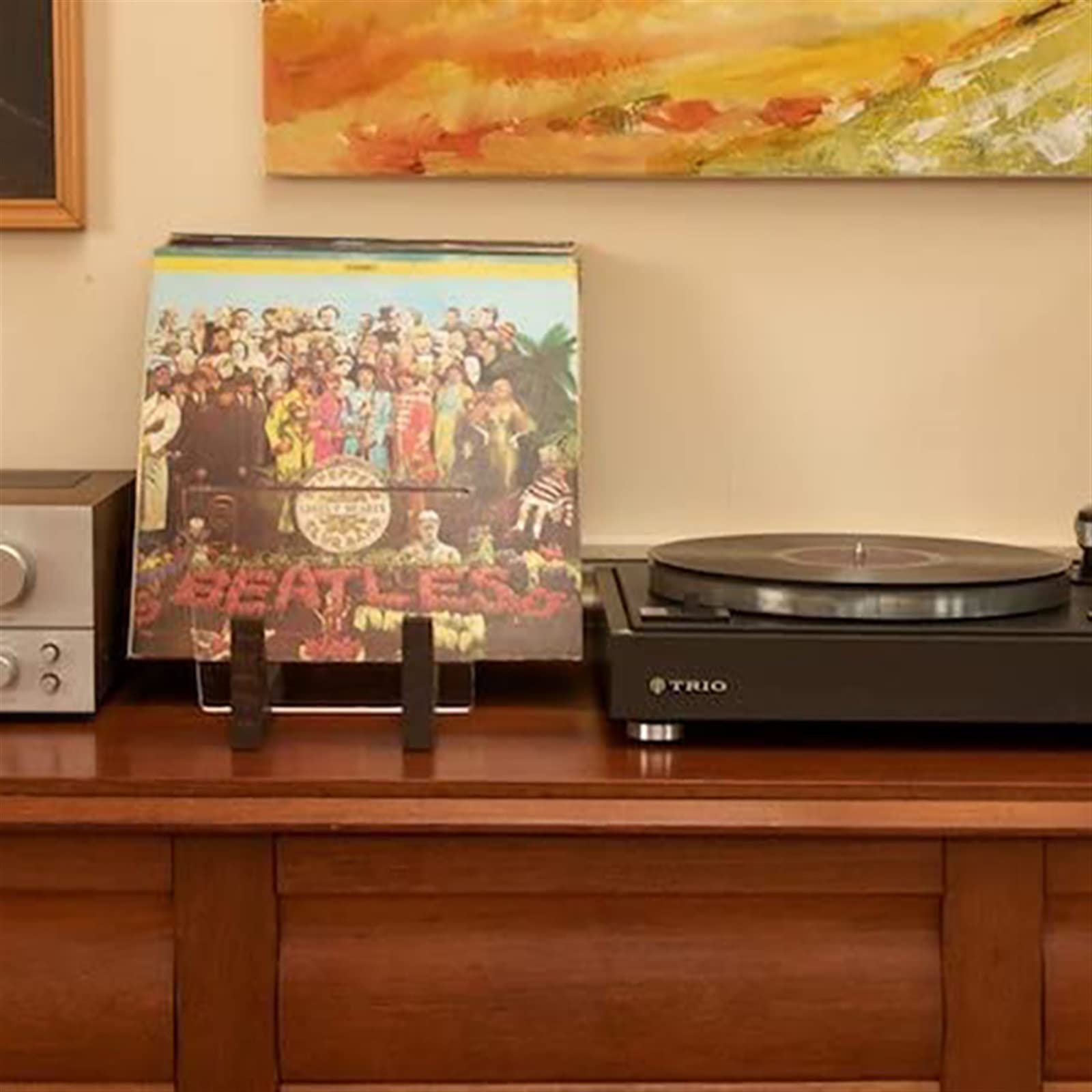 Rack per dischi Portadischi in vinile - Può contenere fino a 50 album, LP da 7 o 12 pollici Organizer in legno massello con estremità in acrilico trasparente, moderno supporto for dischi portatile