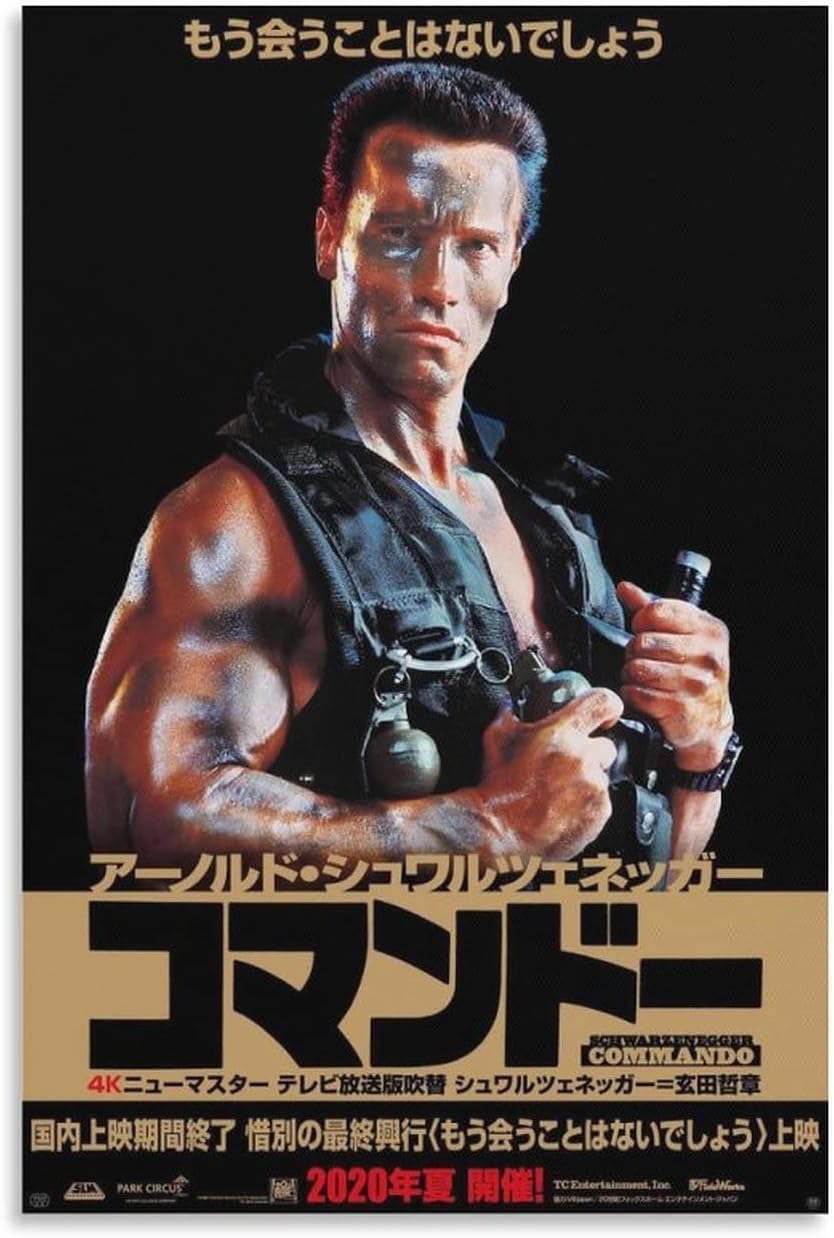 ポスター　アート　映画　トルコ Amazon.co.jp: アーノルド・シュワルツェネッガー主演素晴らしい