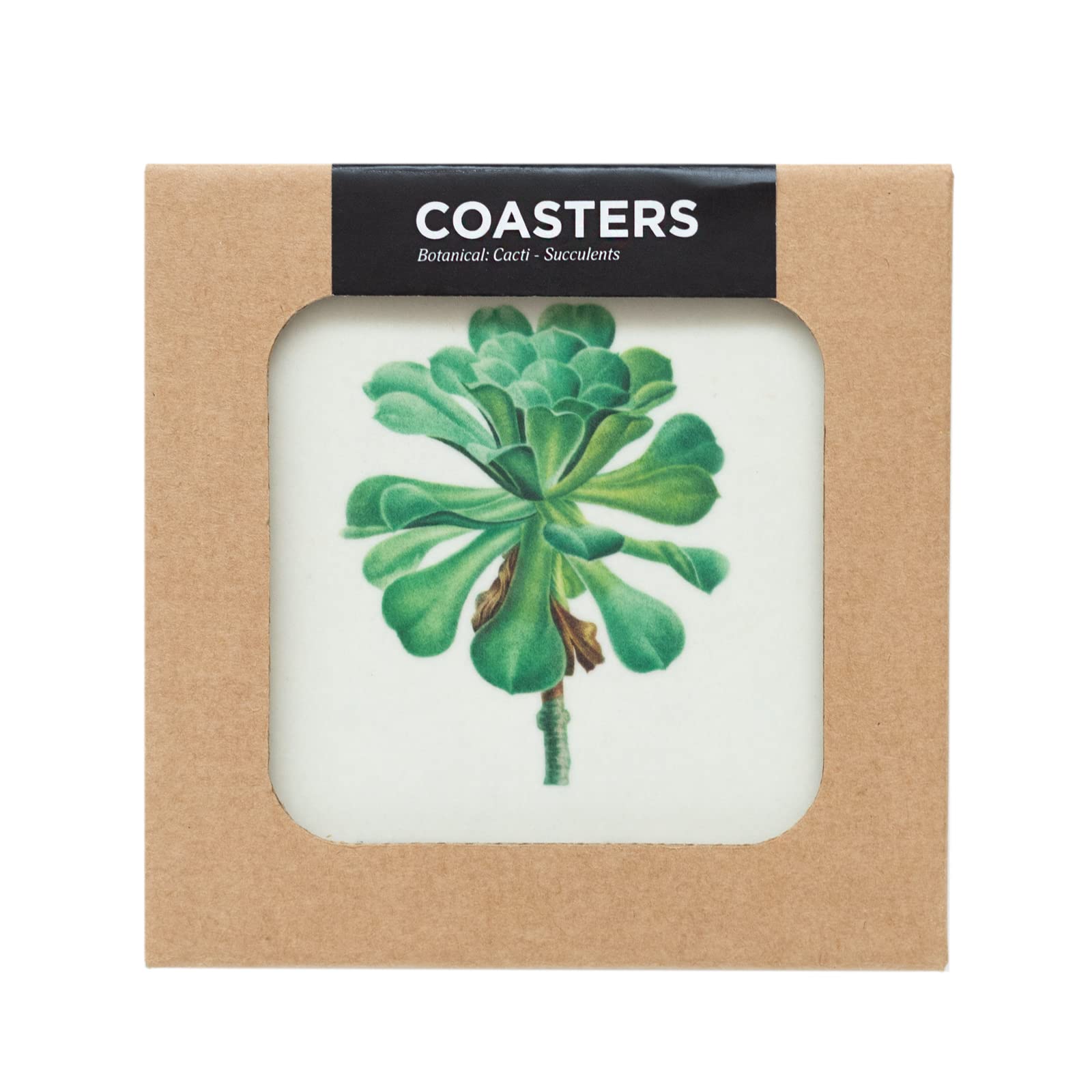 Grupo Erik Botanical Cacti Coasters Set Of 4-4 x 4 inches / 10 x 10 cm, Cork Coasters, Drinks Coasters, Beermat